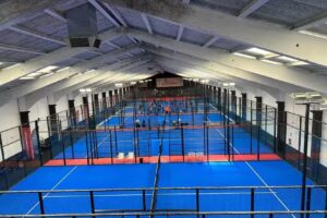 CD Elemental P S.I.G