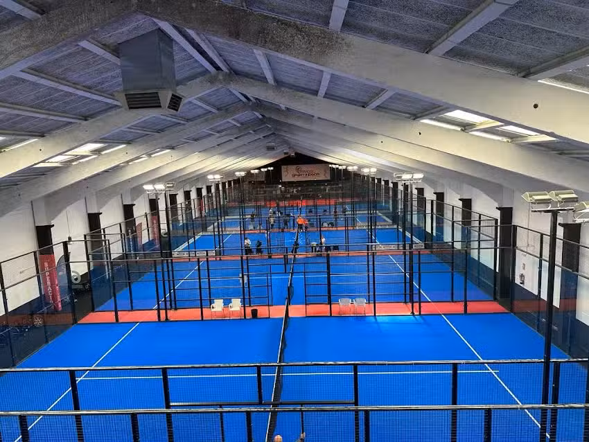 CD Elemental P S.I.G