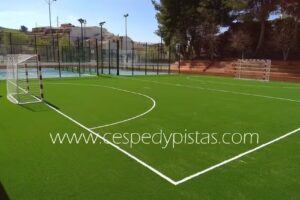 C&eacute;sped y Pistas