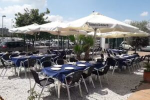 El Vial P&aacute;del