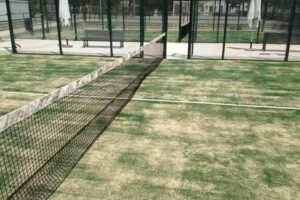 Escuela de P&aacute;del Daniel Avil&eacute;s &ndash; Tejares