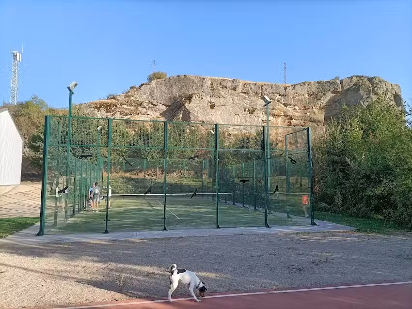 P&aacute;del Mi&ntilde;o de medinaceli