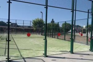 p&agrave;del Tor&agrave;