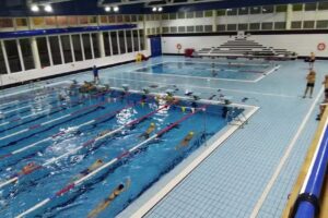 P&agrave;del Ven&egrave;cia