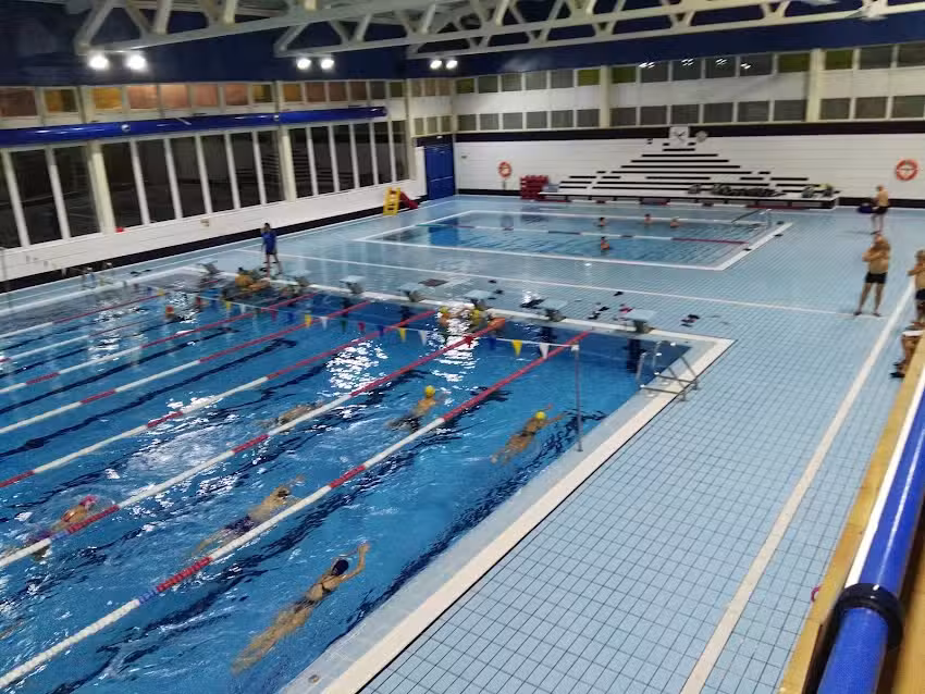 P&agrave;del Ven&egrave;cia