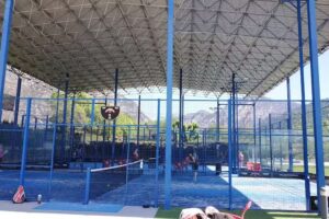 P&agrave;delorg Organy&agrave;