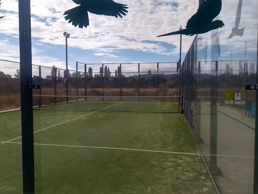 PISTA DE P&Aacute;DEL