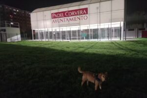 Pista de p&aacute;del Corvera