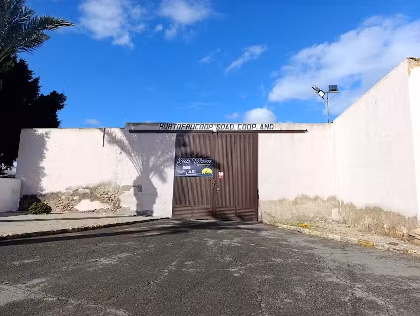 Pista de P&aacute;del de San Jos&eacute;