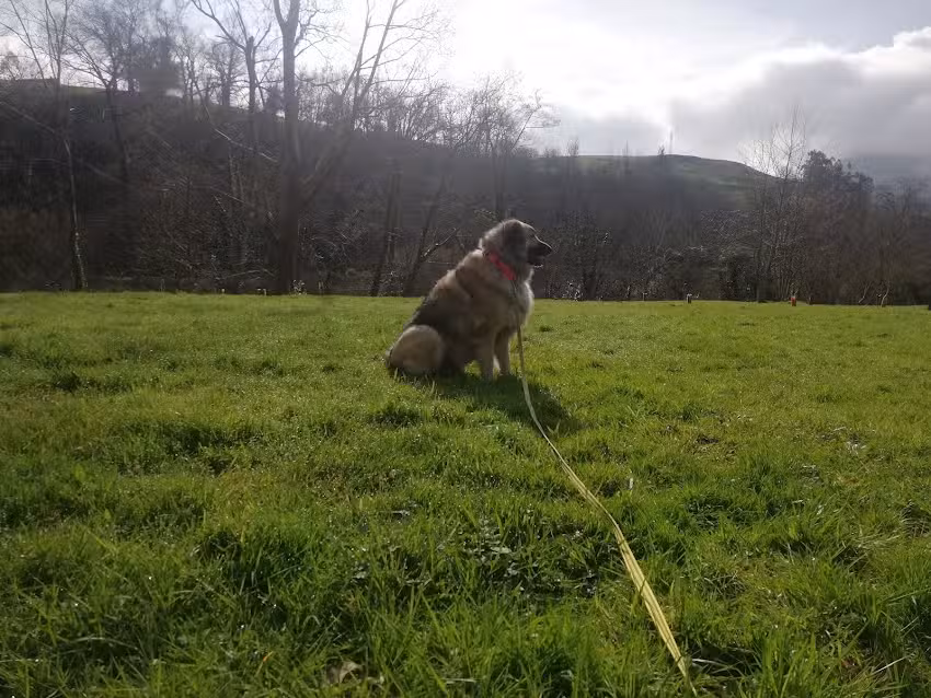 Pistas De P&aacute;del De Ramales De La V&iacute;ctoria