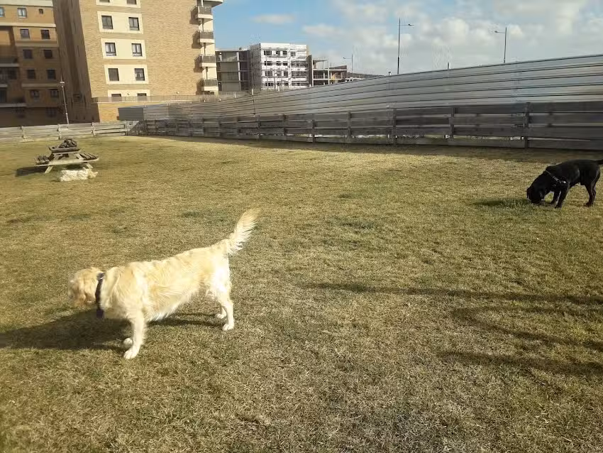 Pistas de P&aacute;del del Ayuntamiento de Soria