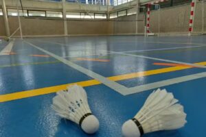 Sociedad Deportivo Cultural ECHAVACOIZ