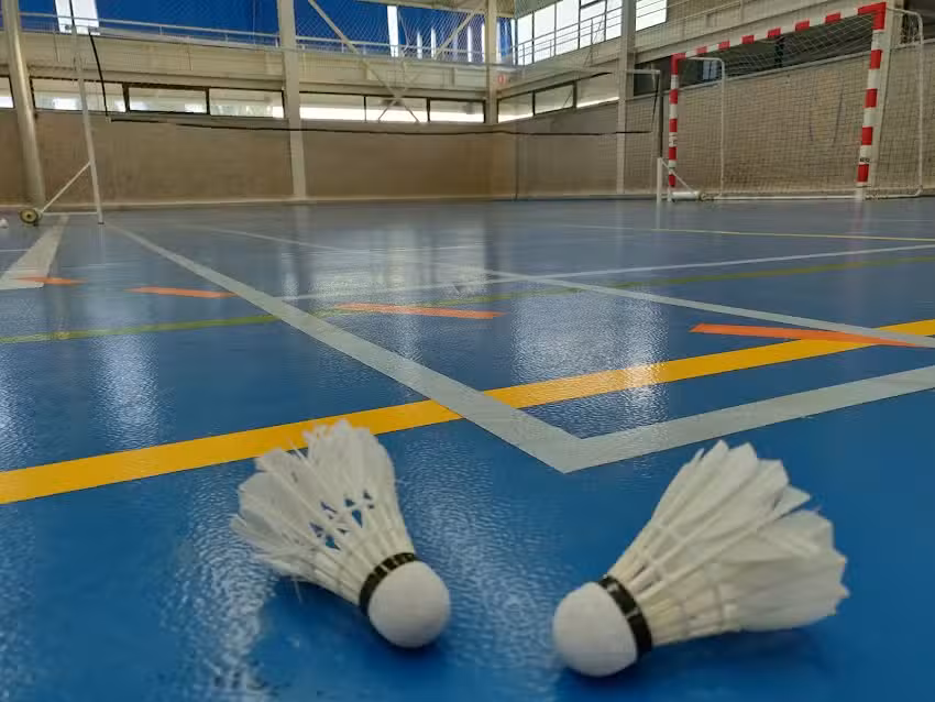 Sociedad Deportivo Cultural ECHAVACOIZ